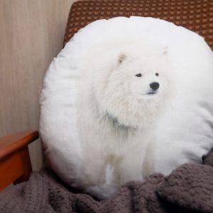 滌綸布圓形抱枕,全彩印刷成品