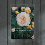 透明壓克力掛曆,全彩印刷成品