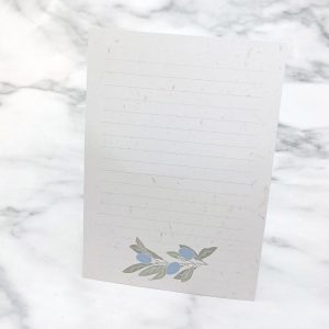 金陽紙信紙,全彩印刷成品